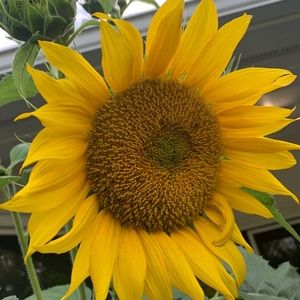 Meet your Posher, Lynn